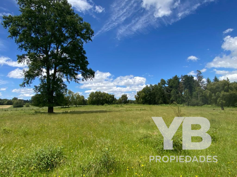 Parcelas 5.000 m2 en Fundo El Olivar Villarrica-Pitrufquén